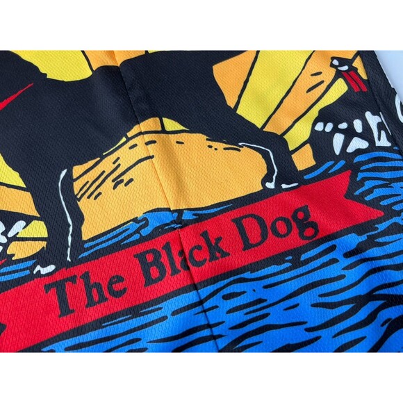 Louis Garneau The Black Dog Cycling Top Size S 1/2 Zip Front Back Pockets - Picture 3 of 11